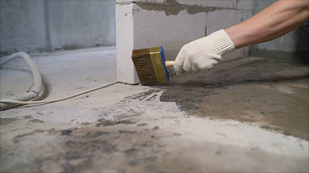 SJ Waterproofing Pros Crawl Space Encapsulation coverage map for Britton, MI and surrounding area